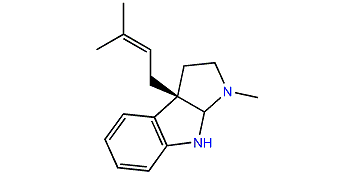 Pseudophrynamine 242